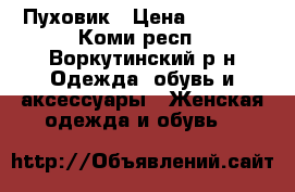 Пуховик › Цена ­ 3 100 - Коми респ., Воркутинский р-н Одежда, обувь и аксессуары » Женская одежда и обувь   